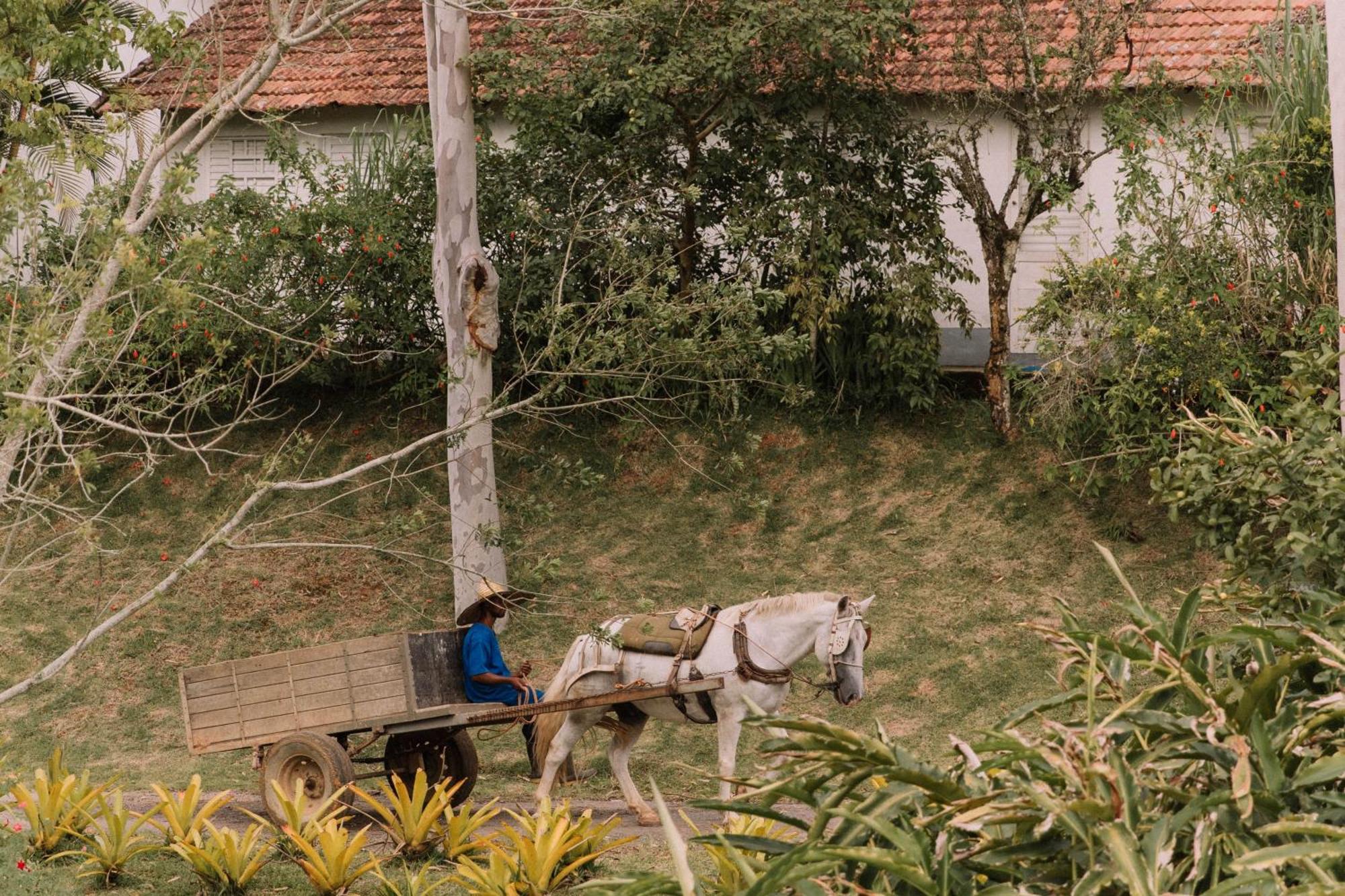 Fazenda 3 Pinheiros 農家樂 *